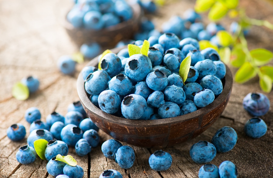 Senior Care in Los Gatos CA: National Blueberry Month