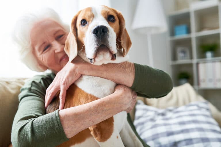 Senior Home Care in Livermore CA: Senior Pets